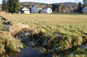 Отель Haus am Treffenbach, Вальдмюнхен